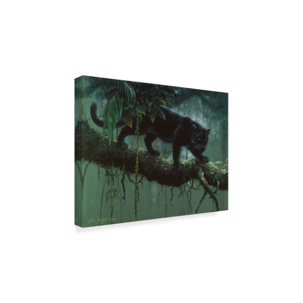 Harro Maass 'Black Jaguar Stalking' Canvas Art,35x47
